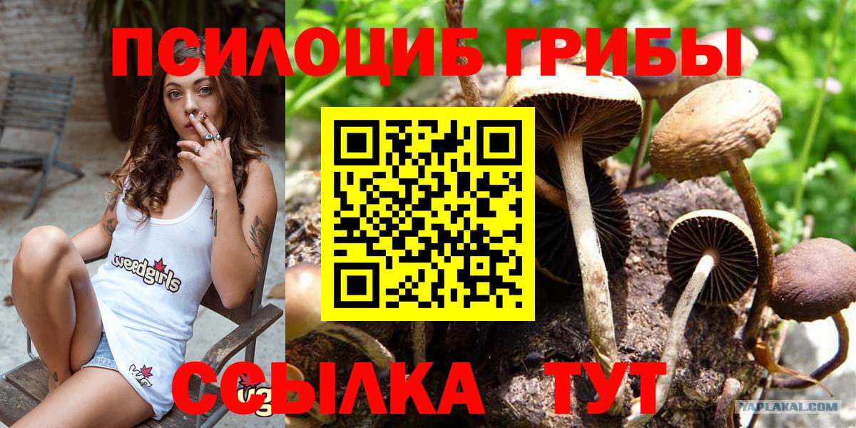 Псилоцибиновые грибы Psilocybine cubensis  Псилоцибиновые грибы Magic Shrooms  Лениногорск  купить   Вход с VPN 