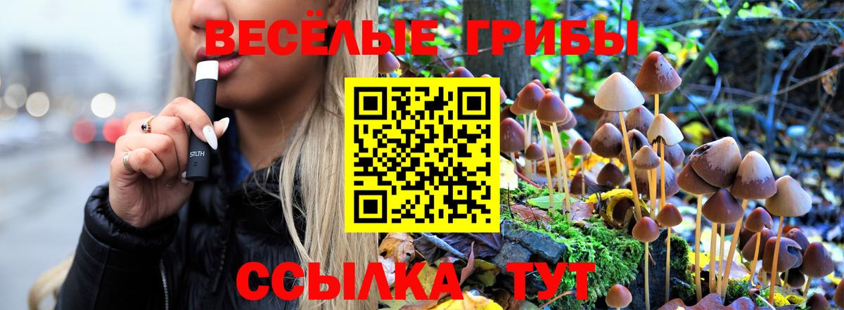 Галлюциногенные грибы ЛСД Лениногорск