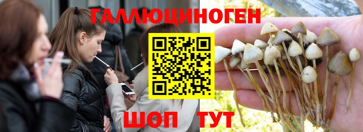 Псилоцибиновые грибы мухоморы Лениногорск