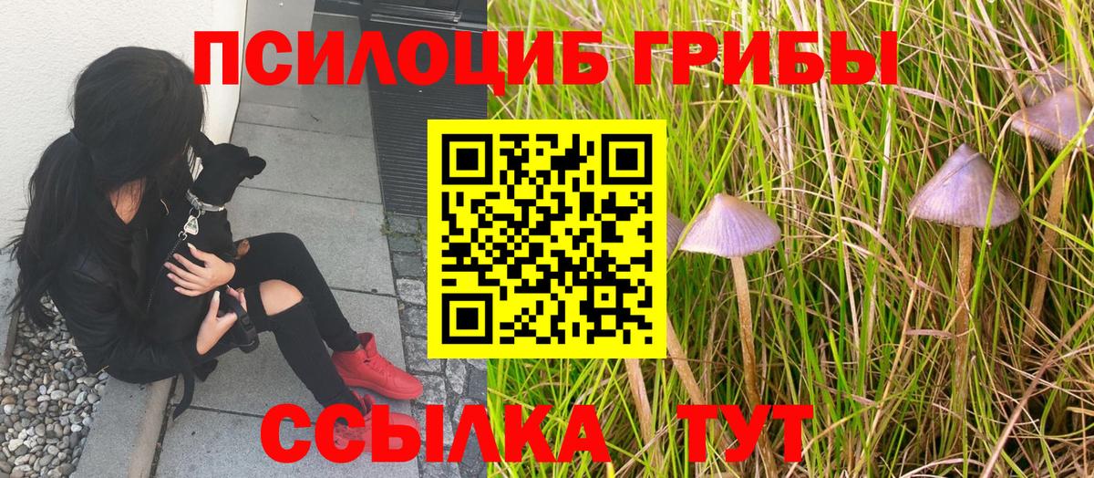 КЕТАМИН Лениногорск