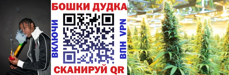 Каннабис конопля Лениногорск